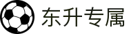 东升专属 - 记录每一刻不平凡的快乐